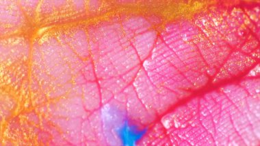 Makro deri, hangi kıvrımları göre boya akan