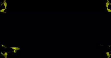 Led ekranlar için Looped Vj görüntüleri.