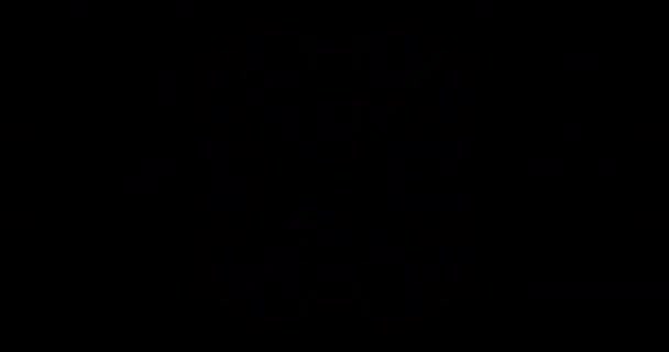 Images VJ bouclées pour écrans LED .