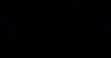 Led ekranlar için Looped Vj görüntüleri.