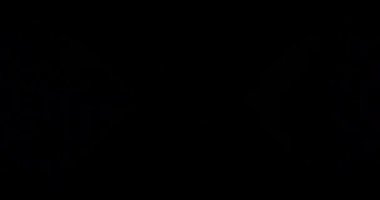 Led ekranlar için Looped Vj görüntüleri.