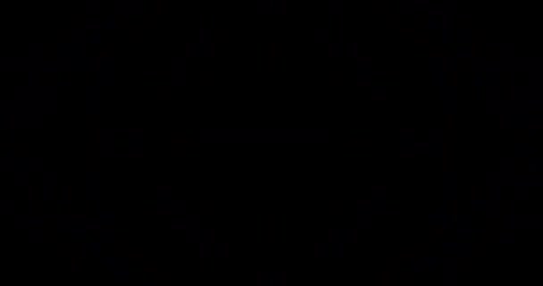 Images VJ bouclées pour écrans LED .