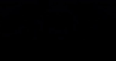 Led ekranlar için Looped Vj görüntüleri.