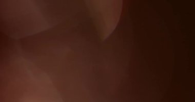 Stüdyoda Siyah Arkaplan Üzerine Gerçek Lens Fişeği Çekimi