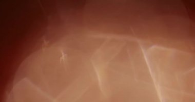 Stüdyoda Siyah Arkaplan Üzerine Gerçek Lens Fişeği Çekimi