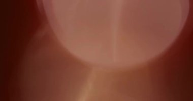 Stüdyoda Siyah Arkaplan Üzerine Gerçek Lens Fişeği Çekimi