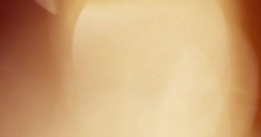 Stüdyoda Siyah Arkaplan Üzerine Gerçek Lens Fişeği Çekimi