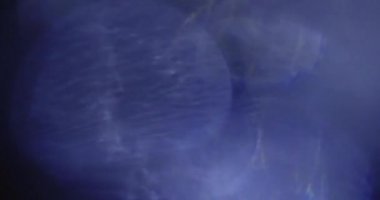 Stüdyoda Siyah Arkaplan Üzerine Gerçek Lens Fişeği Çekimi