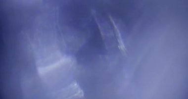 Stüdyoda Siyah Arkaplan Üzerine Gerçek Lens Fişeği Çekimi