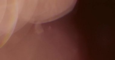 Stüdyoda Siyah Arkaplan Üzerine Gerçek Lens Fişeği Çekimi