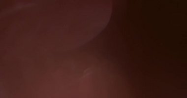 Stüdyoda Siyah Arkaplan Üzerine Gerçek Lens Fişeği Çekimi