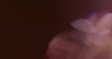 Stüdyoda Siyah Arkaplan Üzerine Gerçek Lens Fişeği Çekimi