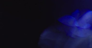 Stüdyoda Siyah Arkaplan Üzerine Gerçek Lens Fişeği Çekimi