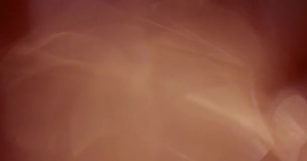 Véritable objectif Flare Shot en studio sur fond noir