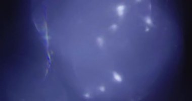 Stüdyoda Siyah Arkaplan Üzerine Gerçek Lens Fişeği Çekimi