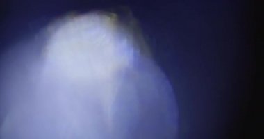 Stüdyoda Siyah Arkaplan Üzerine Gerçek Lens Fişeği Çekimi