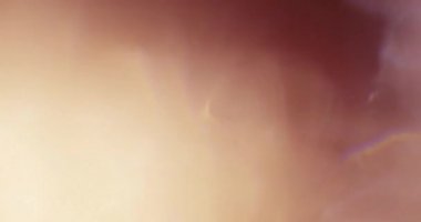 Stüdyoda Siyah Arkaplan Üzerine Gerçek Lens Fişeği Çekimi