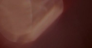 Stüdyoda Siyah Arkaplan Üzerine Gerçek Lens Fişeği Çekimi