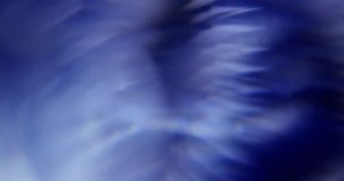 Stüdyoda Siyah Arkaplan Üzerine Gerçek Lens Fişeği Çekimi