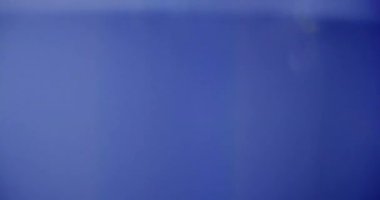 Stüdyoda Siyah Arkaplan Üzerine Gerçek Lens Fişeği Çekimi