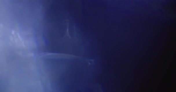 스튜디오에서 검은 백지를 배경으로 한 진짜 렌즈 플랫 샷 — 비디오