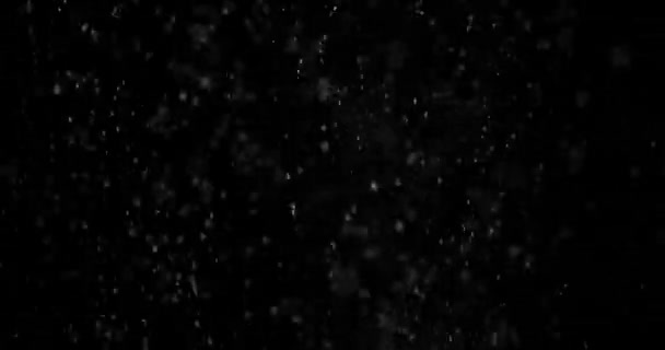 Particelle Nuvola di polvere isolato sfondo nero . — Video Stock