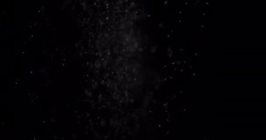 Parçacıklar Toz Bulut Izole Siyah Arka Plan.