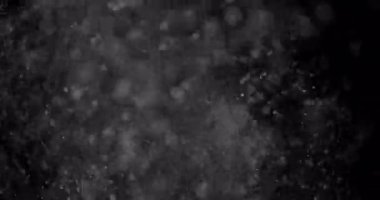 Parçacıklar Toz Bulut Izole Siyah Arka Plan.