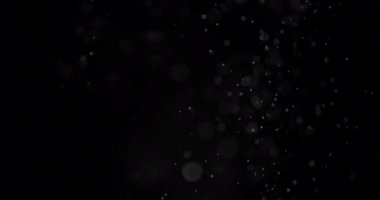 Parçacıklar Toz Bulut Izole Siyah Arka Plan.