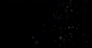 Parçacıklar Toz Bulut Izole Siyah Arka Plan.