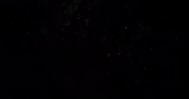 Parçacıklar Toz Bulut Izole Siyah Arka Plan.