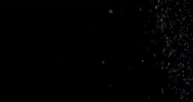 Parçacıklar Toz Bulut Izole Siyah Arka Plan.