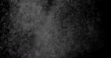 Parçacıklar Toz Bulut Izole Siyah Arka Plan.