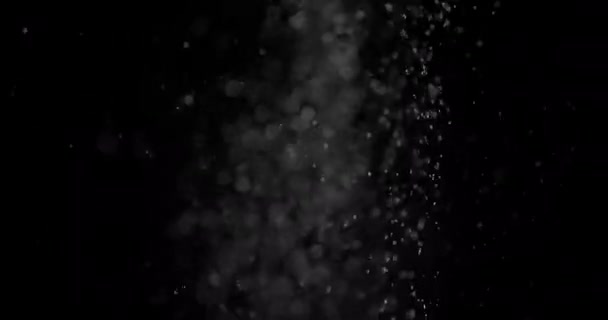 Parçacıklar Toz Bulut Izole Siyah Arka Plan. — Stok video