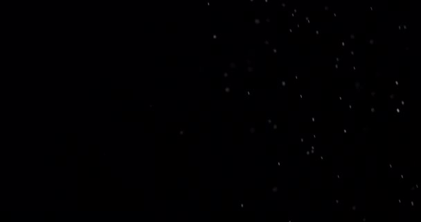 Particules Nuage de poussière fond noir isolé . — Video