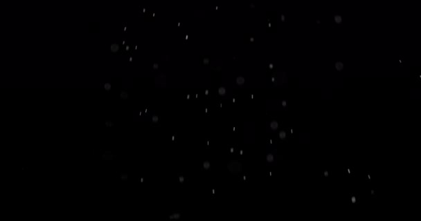 Particles Dust Cloud Isolated Black Background. — Stock Video