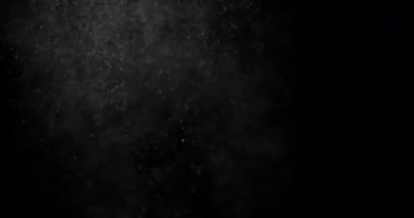Parçacıklar Toz Bulut Izole Siyah Arka Plan.