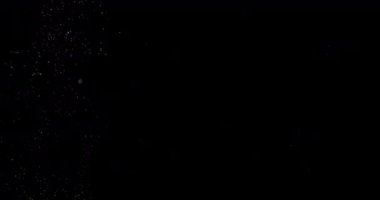 Parçacıklar Toz Bulut Izole Siyah Arka Plan.