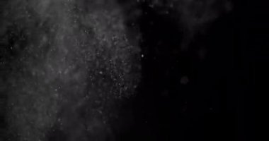 Parçacıklar Toz Bulut Izole Siyah Arka Plan.