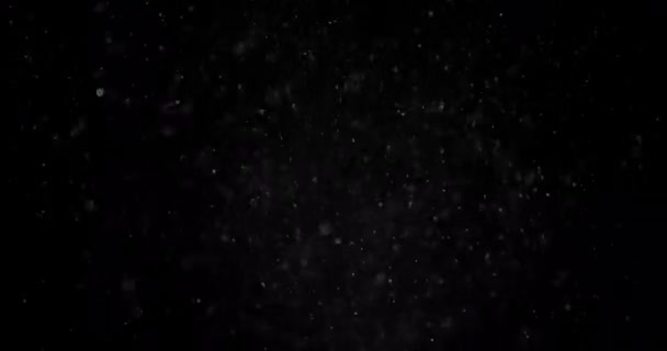 Particules Nuage de poussière fond noir isolé .