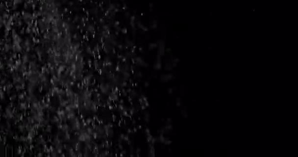 Облако пыли частиц изолированный черный фон . — стоковое видео