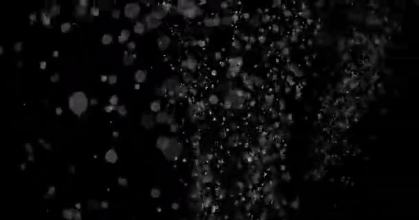 Partikel Staubwolke isoliert schwarzen Hintergrund. — Stockvideo