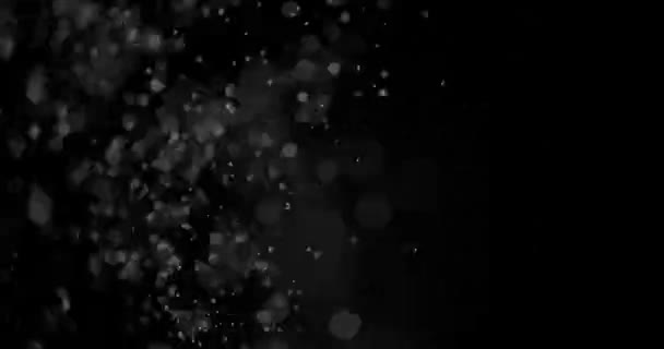 Particles Dust Cloud Isolated Black Background. — Stock Video