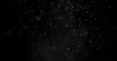 Parçacıklar Toz Bulut Izole Siyah Arka Plan.