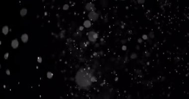 Parçacıklar Toz Bulut Izole Siyah Arka Plan.