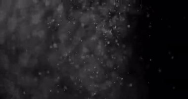 Parçacıklar Toz Bulut Izole Siyah Arka Plan.