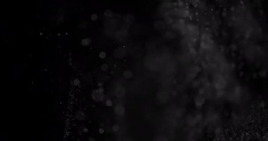 Parçacıklar Toz Bulut Izole Siyah Arka Plan.