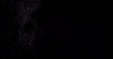 Parçacıklar Toz Bulut Izole Siyah Arka Plan.