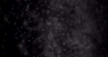 Parçacıklar Toz Bulut Izole Siyah Arka Plan.