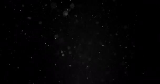 Shluk částic v izolovaném černém pozadí. — Stock video